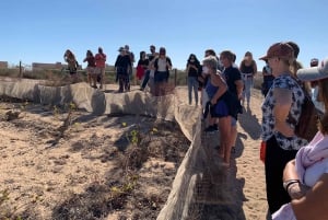 Torrevieja: Local Wine and Food Tasting Tour in La Mata Park