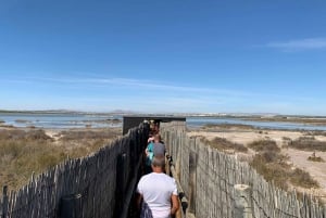 Torrevieja: Local Wine and Food Tasting Tour in La Mata Park