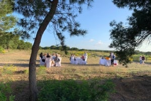 Torrevieja: Local Wine and Food Tasting Tour in La Mata Park