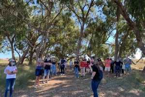Torrevieja: Local Wine and Food Tasting Tour in La Mata Park