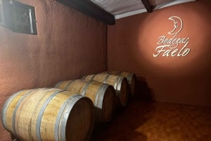 Alicante; Tour enologico Cantine Vini, cibo e trasferimento inclusi