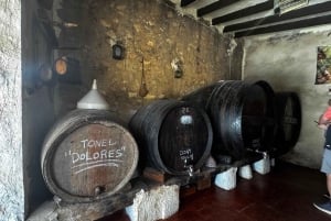 Alicante; Tour enologico Cantine Vini, cibo e trasferimento inclusi