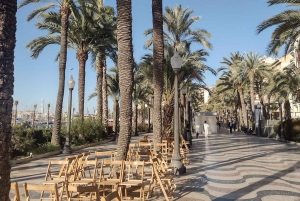 Your Exclusive Alicante: Private Castle Tour with Drinks