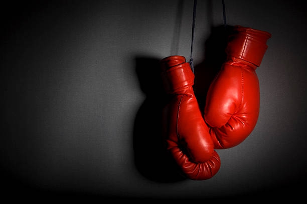 International Boxing Tournament - Boxam in Benidorm