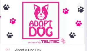 Adopt A Dog Day
