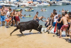 Denia Festa Major - Denia Fiesta and bull-running