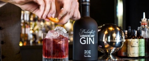 Gin Masterclass with Jamie Baxter of Burleighs Gin