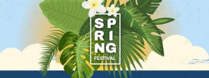 Spring Festival 2019 in Alicante