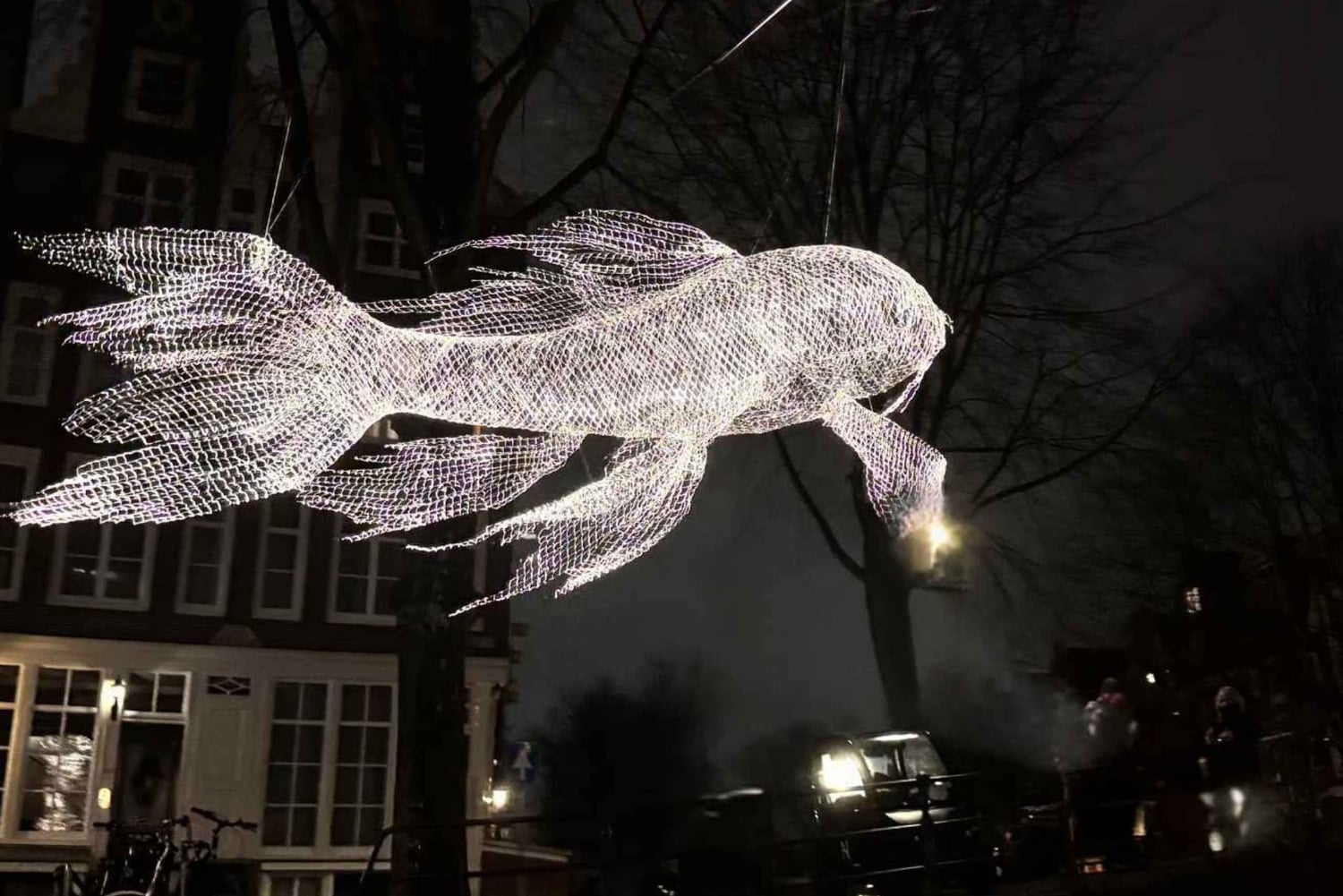 №1 Круиз по Амстердаму с волшебными огнями, включая напитки и печенье