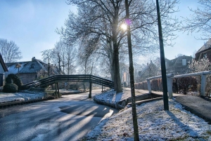 10 tunnin päiväretki Zaanse Schansiin ja Giethoorniin