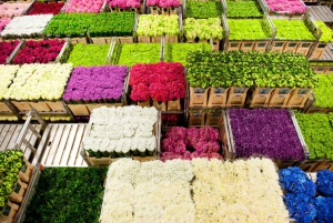 Aalsmeer: Flower Auction Guided Tour