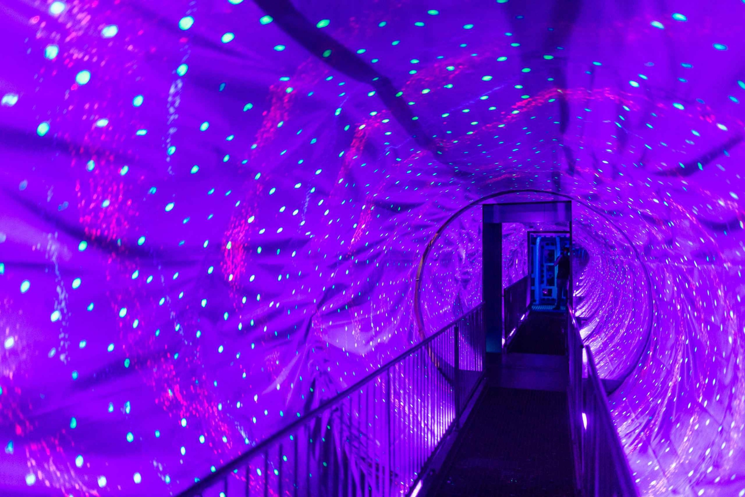 Cruzeiro de 1 hora no Canal de Amesterdão e Ripley's Believe it or Not