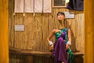 Cruzeiro de 1 hora no Canal de Amesterdão e Ripley's Believe it or Not