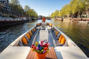 Amsterdam: 1-Hour Luxury Canal Cruise from Rijksmuseum