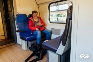 Amsterdam: 1-Way Train Transfer to/from Haarlem