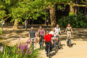 Amsterdam: 2,5-stündige Fahrradtour