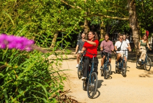 Amsterdam: 2,5-stündige Fahrradtour