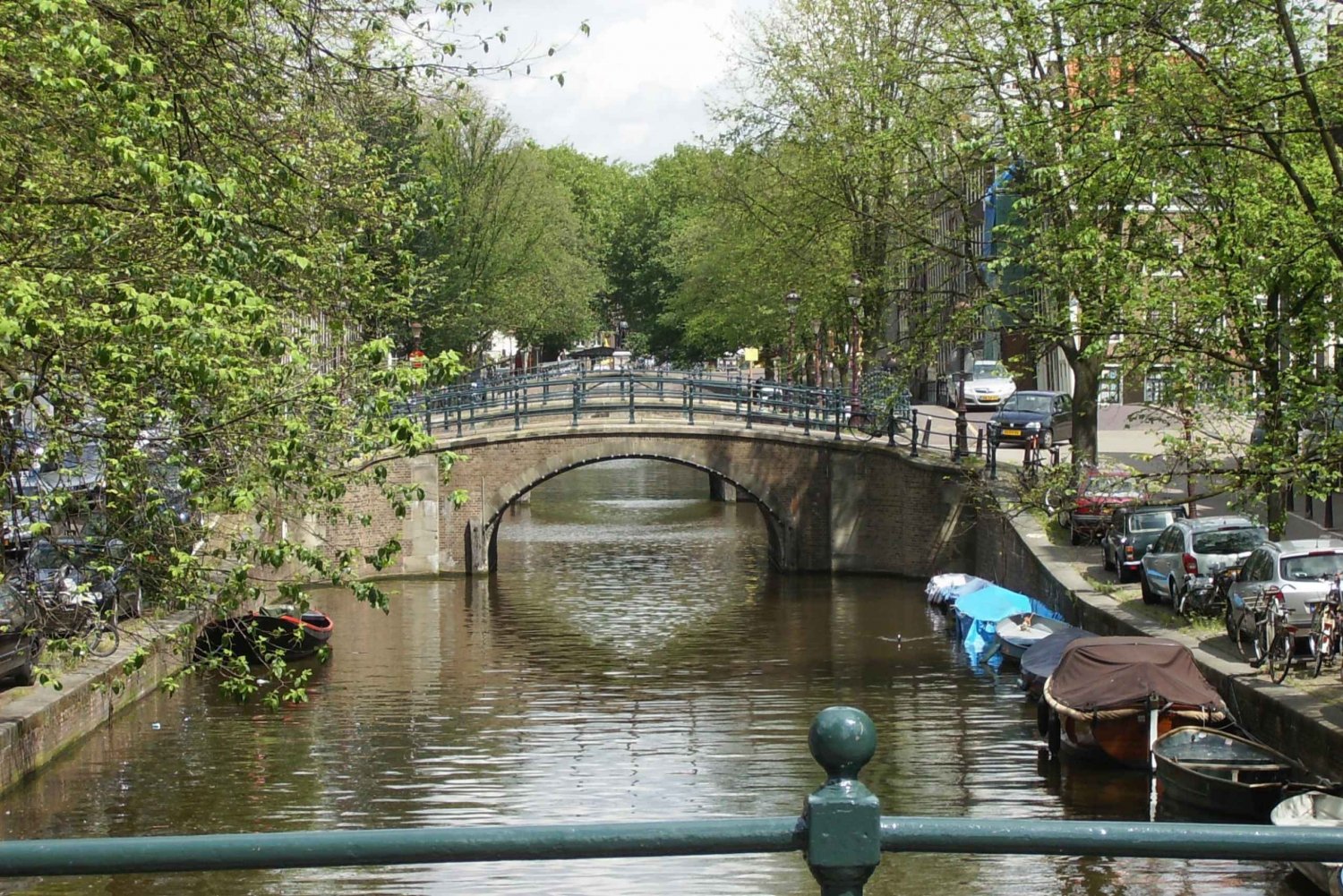 Amsterdam: 2,5-timers historisk privat vandretur