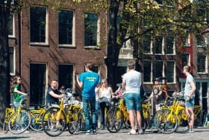 Amsterdam: 2-Hour City Highlights Guided Bike Tour