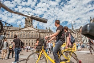 Amsterdam: 2-Hour City Highlights Guided Bike Tour