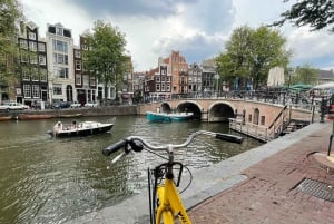 Amsterdam: tour guidato della città della durata di 2 ore