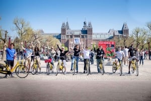 Amsterdam: tour guidato della città della durata di 2 ore