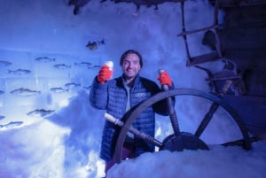 Amsterdam: 24-Hour Hop-On Hop-Off Boat and XtraCold Icebar