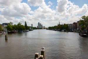 Amsterdam: cena di 3 portate al buio