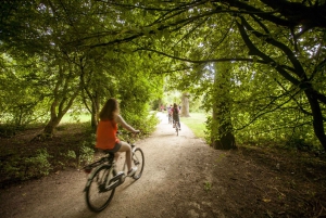 Amsterdam 3-Hour Bike Tour: Backstreets and Hidden Gems