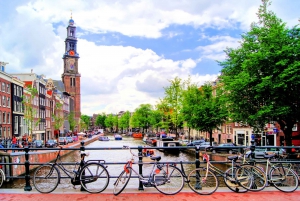 Amsterdam: 3-Hour Private Highlights City Tour by Minivan