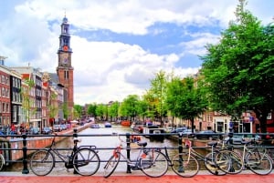 Amsterdam: 3-Hour Private Highlights City Tour by Minivan