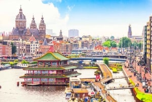 Amsterdam: 3-Hour Private Highlights City Tour by Minivan