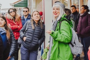 Amsterdam: 3 timers privat byrundtur med minivan med højdepunkter