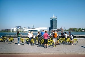 Amsterdam: 3h E-Bike Tour with break