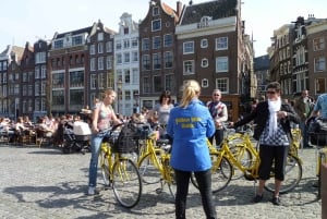 Amsterdam: 3h E-Bike Tour with break