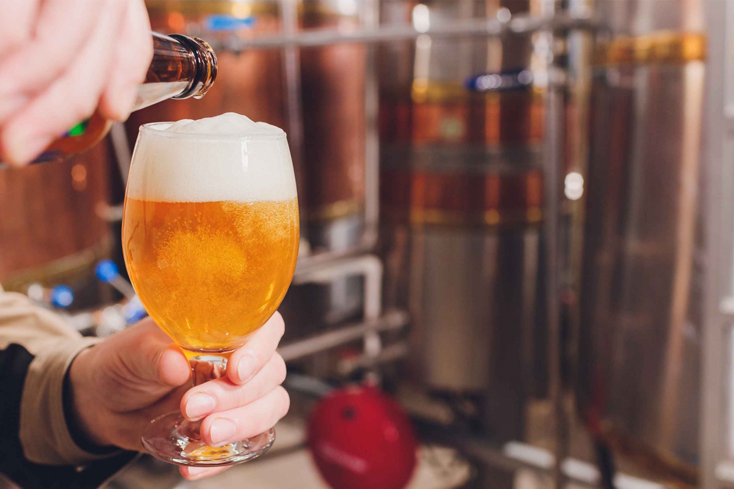 Amsterdam: 4-Hour Brewery Tour