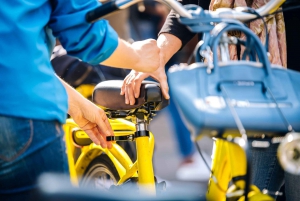 Amsterdam: Countryside and Villages Bike Tour