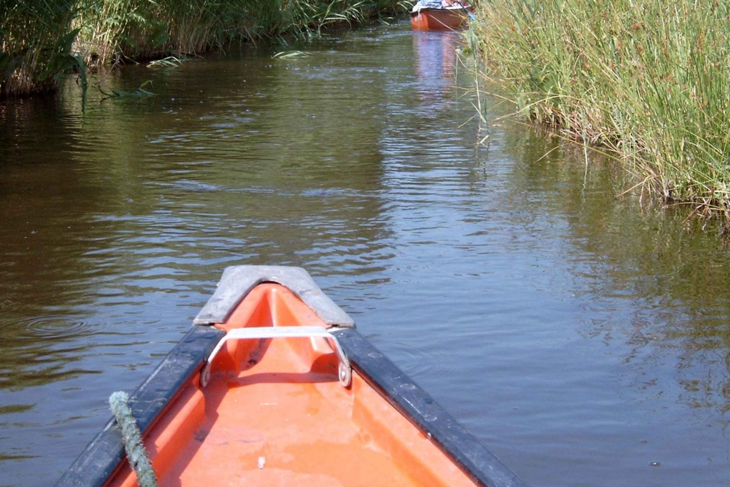Amsterdam 5-Hour Guided Canoe Trip in the Wetlands