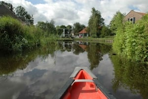 Amsterdam 5-Hour Guided Canoe Trip in the Wetlands