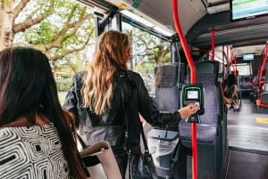 Amsterdam: Airport Express Bus Transfer to/from City Center