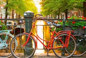 Amsterdam Airport to City Center Private Transfer