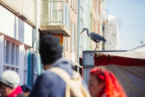 Amsterdam: Albert Cuyp-marknaden och De Pijp Guidad Foodie Tour