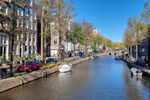 Amsterdam All In One Tour - wycieczka piesza