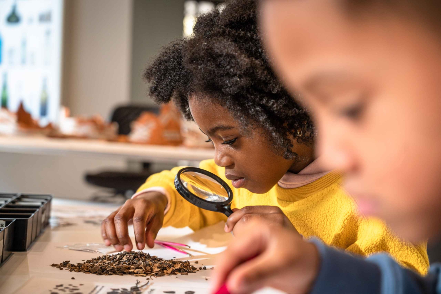 Amsterdam: Adgangsbillet til Allard Pierson Heritage Collections