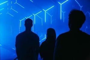 Amsterdam: AMAZE Immersive Audiovisual Experience Ticket