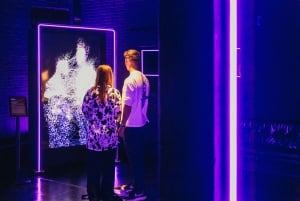 AMAZEアムステルダム：没入型オーディオビジュアル体験をお楽しみください