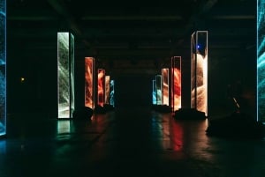 AMAZEアムステルダム：没入型オーディオビジュアル体験をお楽しみください