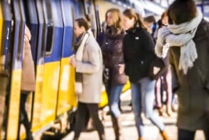 Amsterdam: Amsterdam & Region Travel Ticket for 1-3 Days