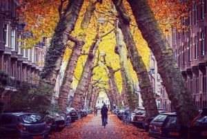 Amsterdam: Anne Frank History Guided Walking Tour