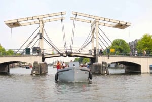 Visiter Amsterdam en Bateau avec un Guide Francais (french)